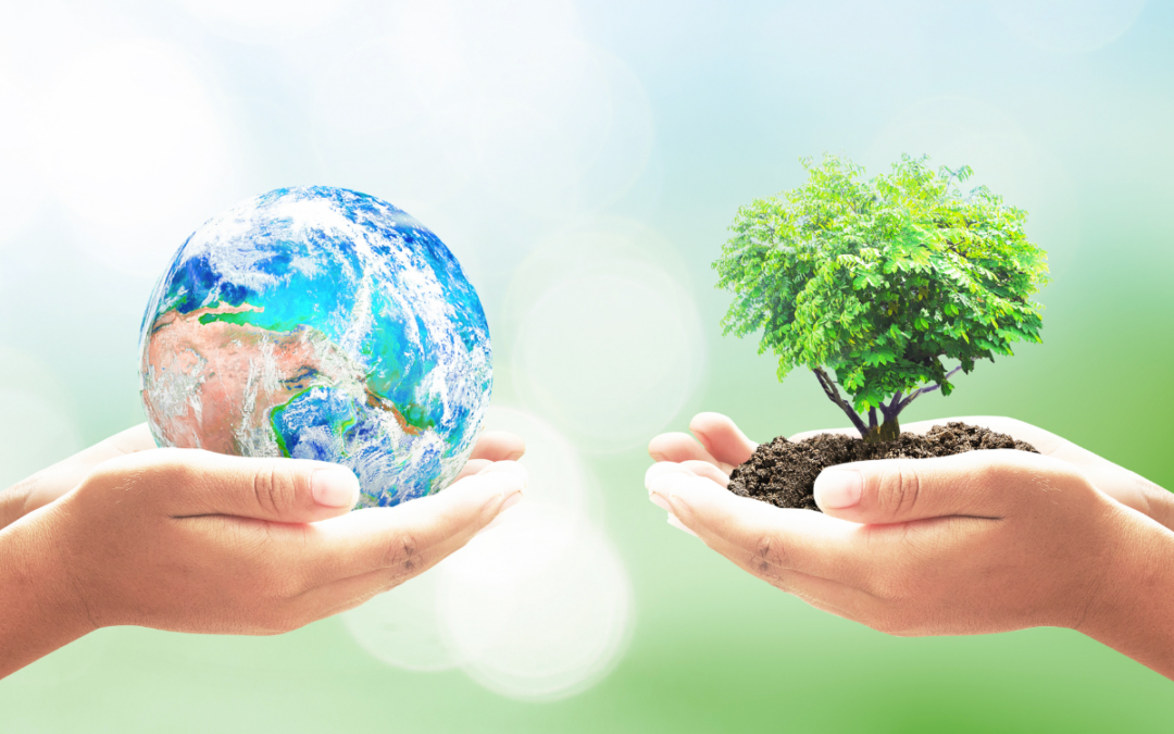 Nos Engagements RSE pour un Avenir Durable : Objectifs 2025-2026
